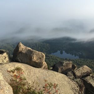 Meet your Posher, Catherine e